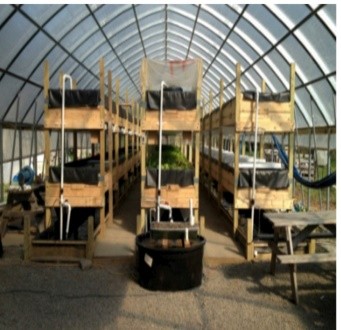 Proje 11 - Fly Larvae Production