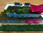Proje 5 - Ecological Area